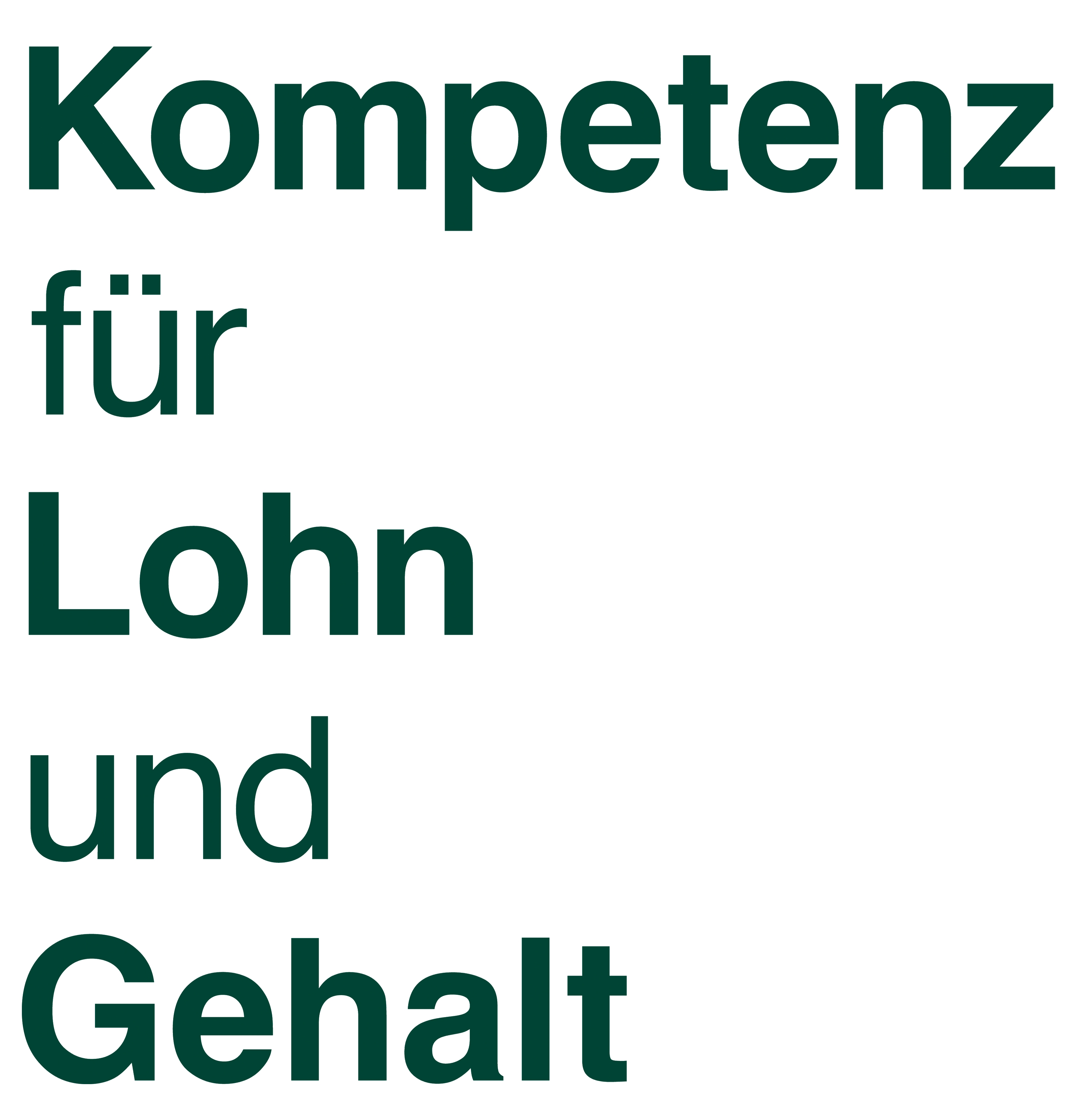 Kompetenz für Lohn und Gehalt